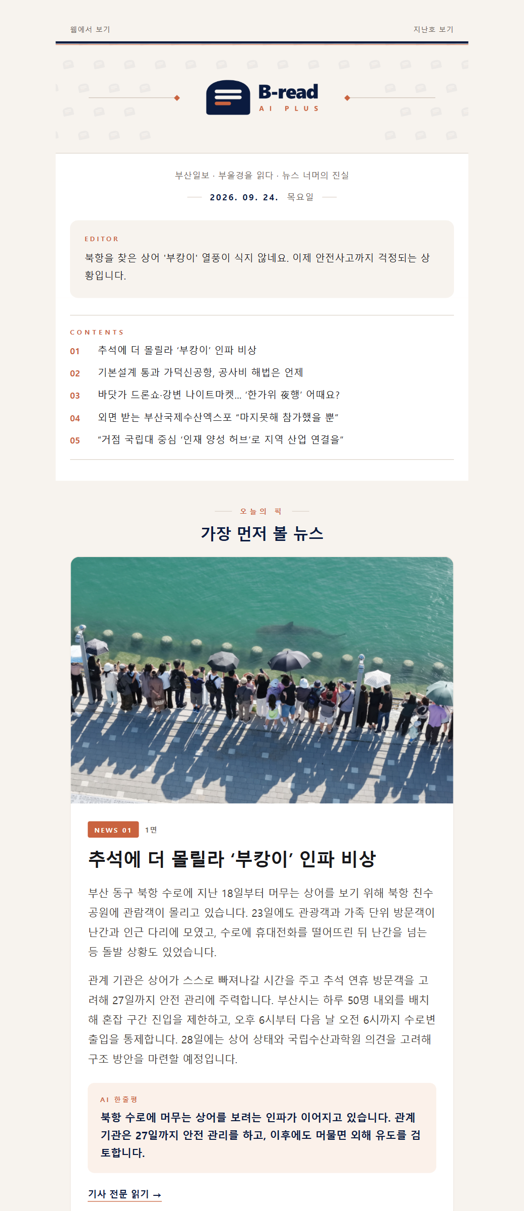 B-read 매거진형 뉴스레터 이메일 예시